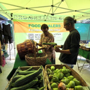 Open Minded Individuals